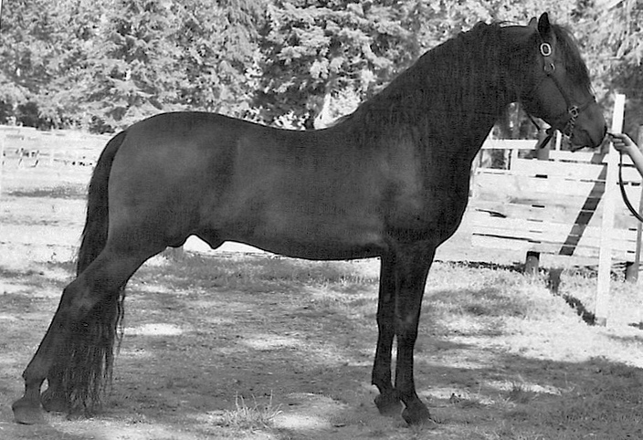 Meredith Bilirubin-02