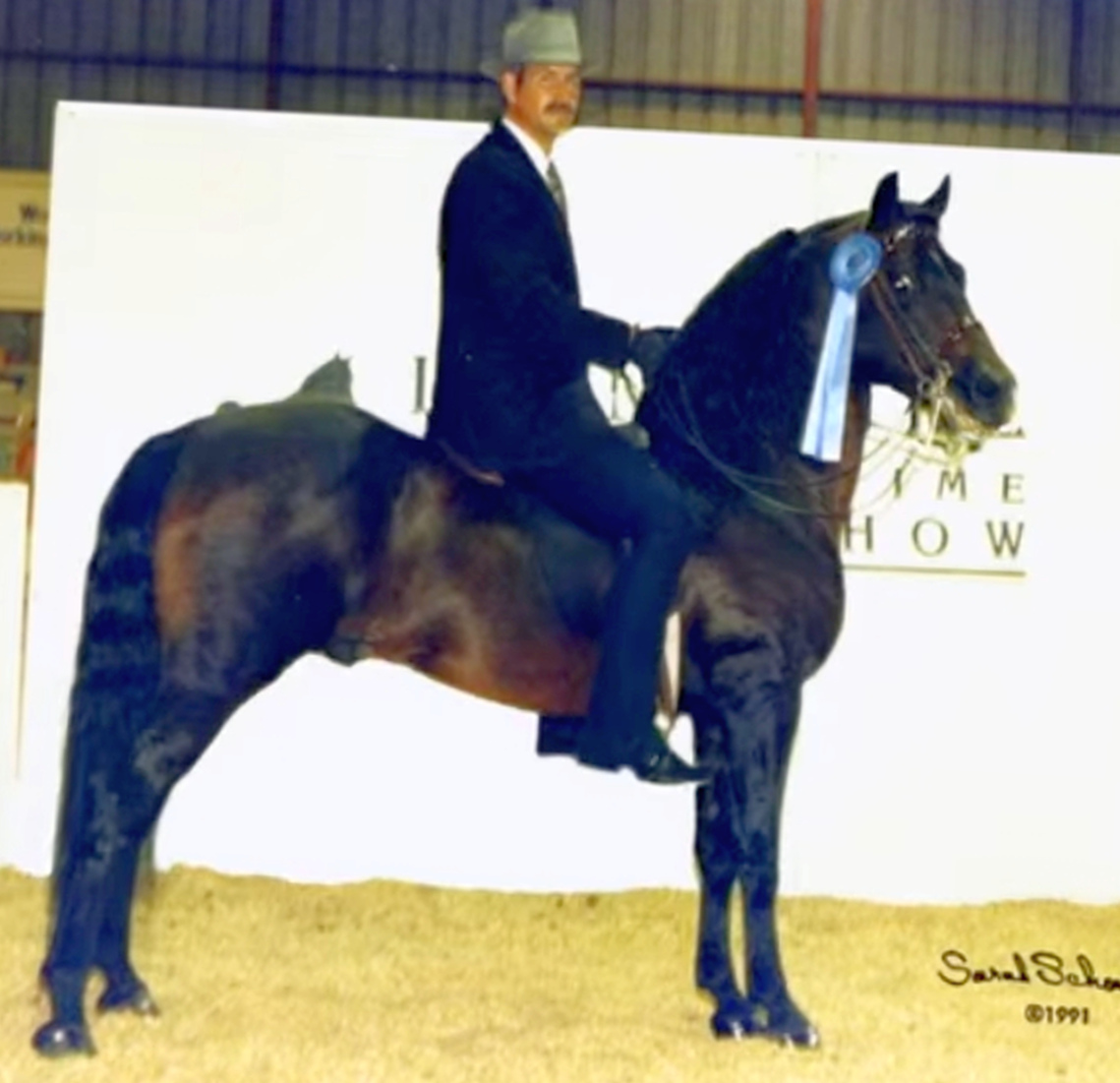 Meredith Bilirubin-06