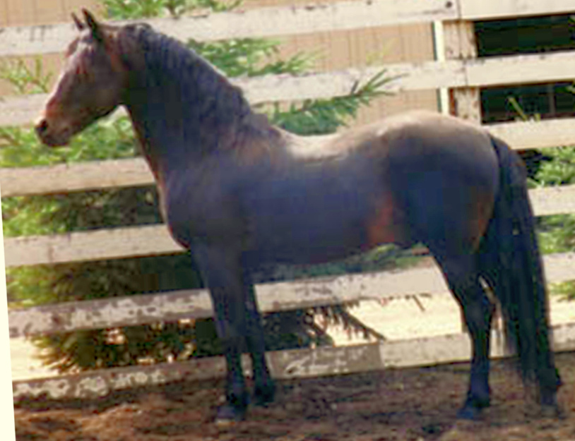 Meredith Bilirubin-07