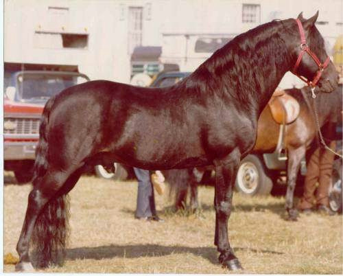 Stillwater Indigo-01