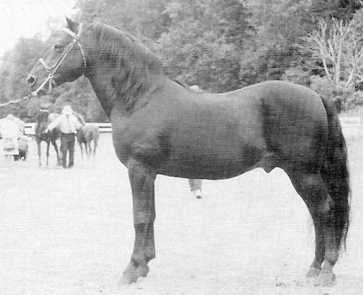 Stillwater Indigo-02