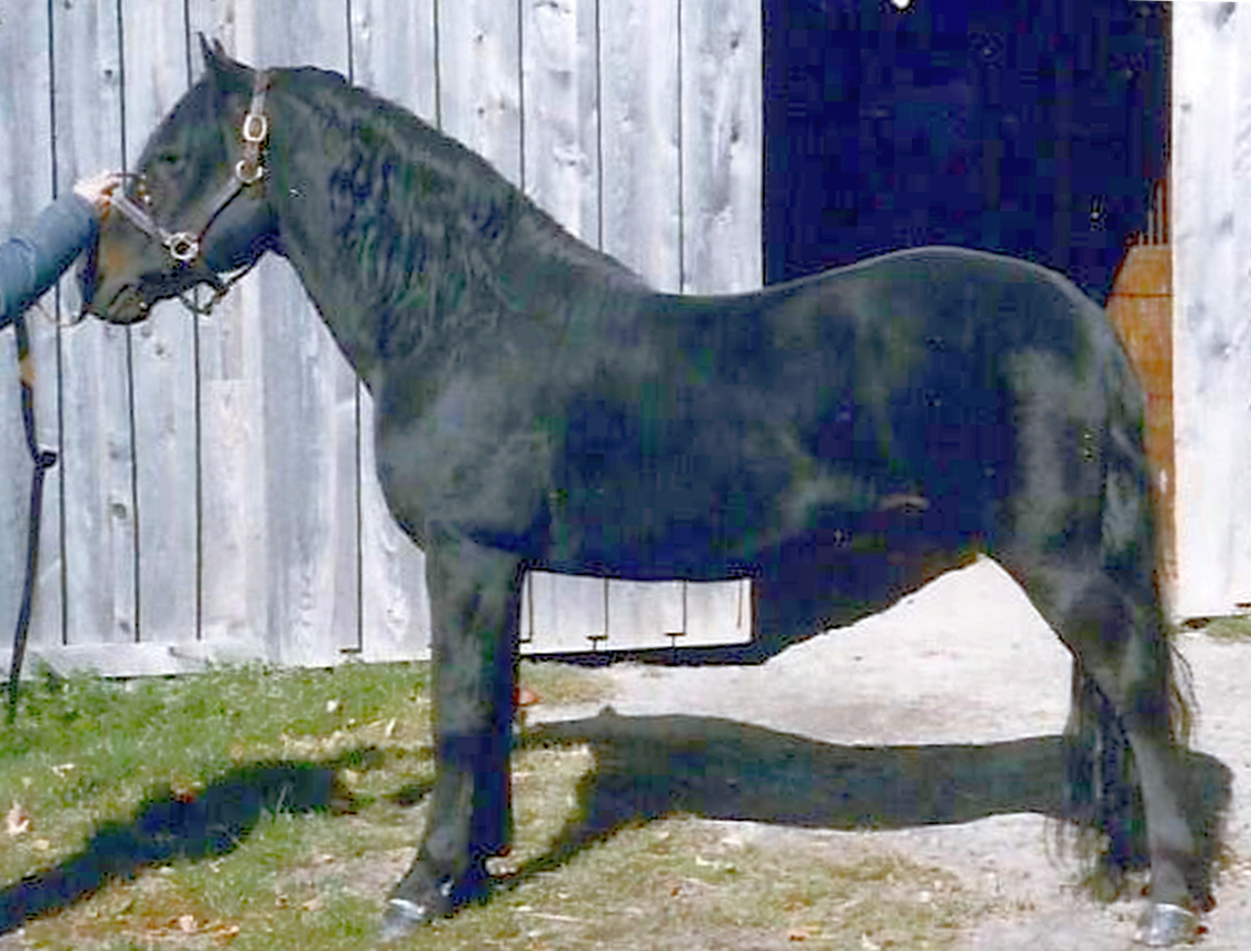 Stillwater Indigo-05