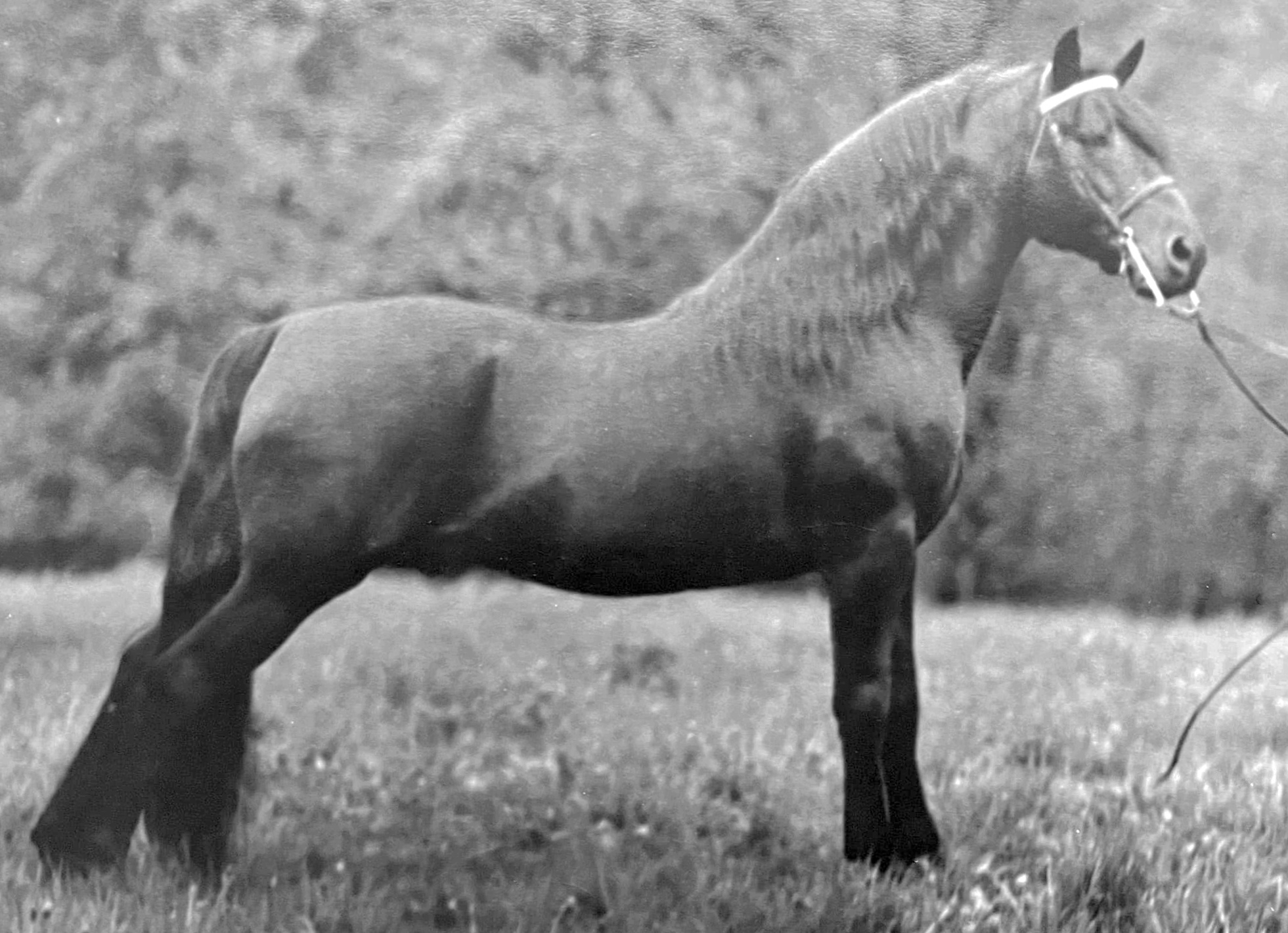 Stillwater Indigo-06